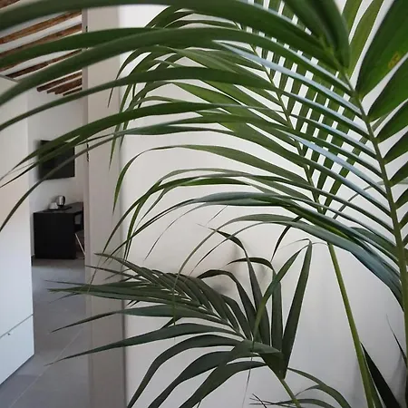 Pensionat New Moon 4*