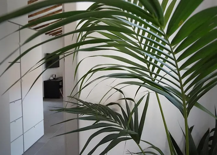 Vendégház New Moon 4*